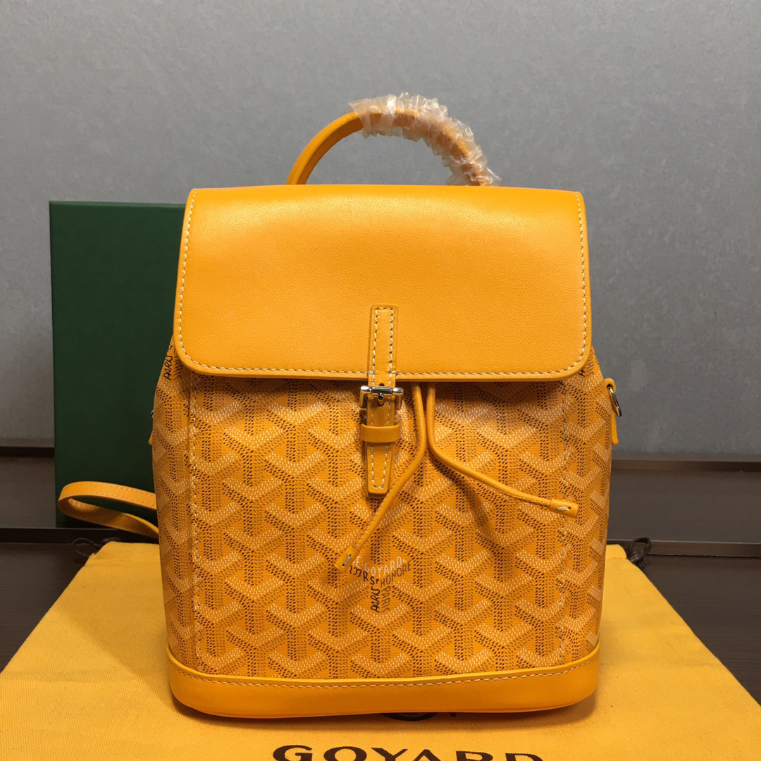 GOYARD ALPIN 고야드 알팡 미니 백팩 23-19-9.5(CM)